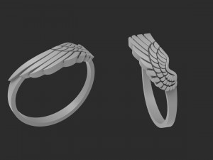 ring wing 3D प्रिंट मॉडल
