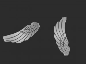 ring wing 3D प्रिंट मॉडल