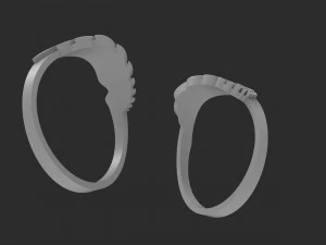 ring wing 3D Print Model