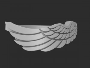 ring wing 3D प्रिंट मॉडल