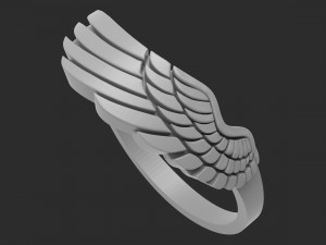 ring wing 3D प्रिंट मॉडल