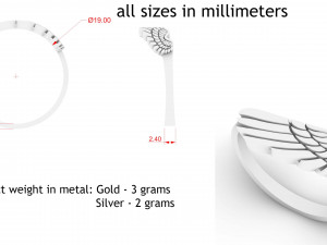 ring wing 3D प्रिंट मॉडल