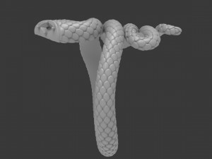 snake ring Modèles 3D en vedette