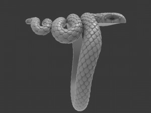 snake ring Modèles 3D en vedette