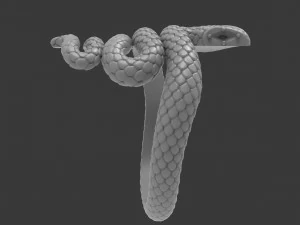 snake ring 3D Print Model