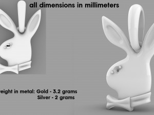 Playboy pendant 3Dプリントモデル