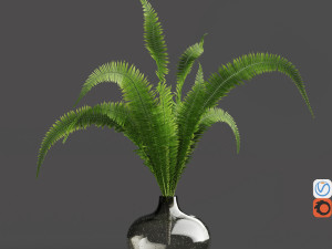 hemase collection bouquet no1-5 3D Model