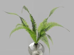hemase collection bouquet no1-5 3D Model