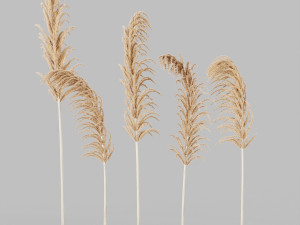 decorative set no3 3D Model