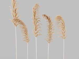 decorative set no3 3D Model