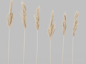 decorative set no3 3D Model