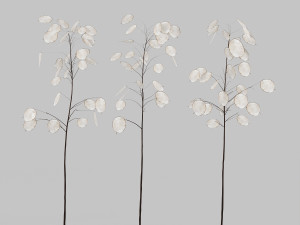 decorative set no3 3D Model