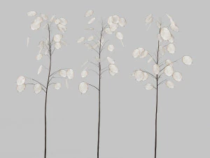 decorative set no3 3D Model
