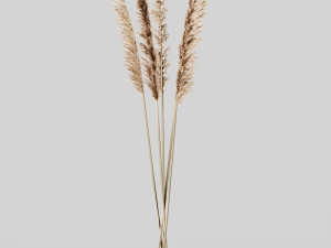 decorative set no3 3D Model