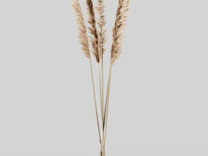 decorative set no3 3D Model