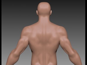 muscular guy 3D मॉडल