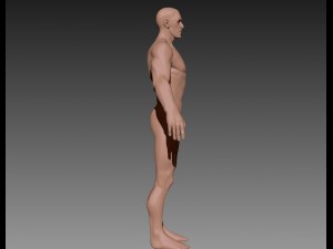 muscular guy 3D मॉडल
