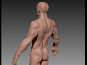 muscular guy 3D मॉडल