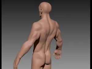 ragazzo muscoloso Modello 3D