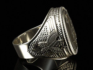 Ring waffen ss 3D Print Model