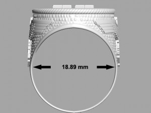 Ring waffen ss Modèles 3D en vedette