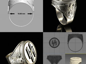 Ring waffen ss 3D Print Model