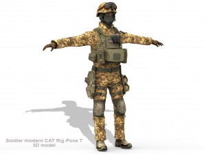 Soldier modern CAT Rigged Model 3D