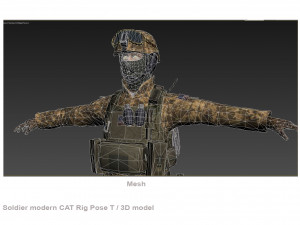 Soldier modern CAT Rigged Model 3D