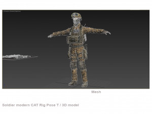 Soldier modern CAT Rigged Model 3D