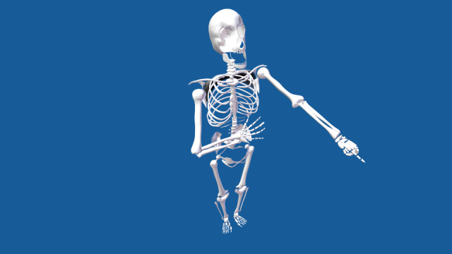rigged human skeleton male 3D Model .c4d .max .obj .3ds .fbx .stl .blend 