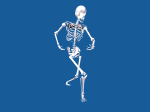 rigged human skeleton male 3D Model