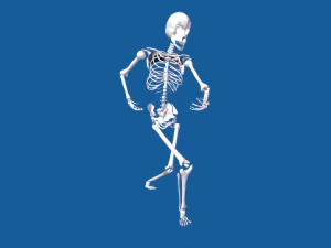 rigged human skeleton male 3D Model