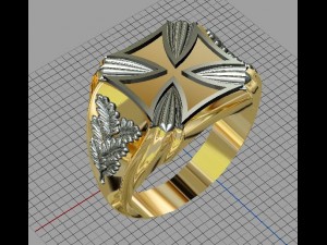 man ring 3D Model