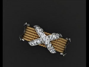 jewellery ring 3D Model