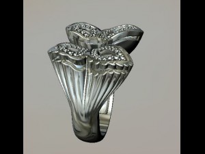 ring Modelo 3D