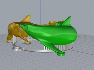 dolphin Model 3D