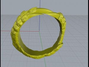 clutches ring 3D 프린트 모델