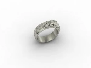 naked ring 3D Print Model