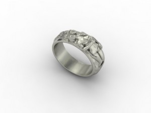 naked ring 3D printmodel