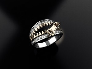 clasp ring Modelo de Impressão 3D