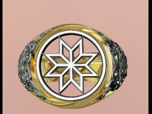 jewellery man ring Modelo de impresión 3D