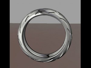ring 3D 打印模型