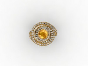 jewellery ring 3D Принт Модель