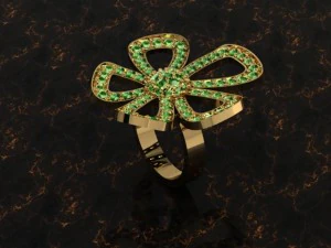 anello di gioielli Modello di stampa 3D