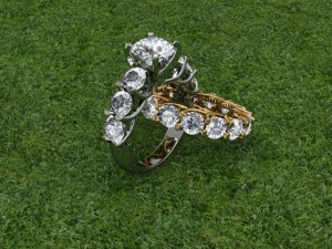 jewellery ring 3D Принт Модель