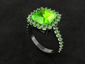 Schmuckring 3D Druckmodell