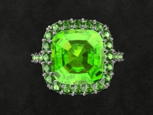 jewellery ring 3D Print Model