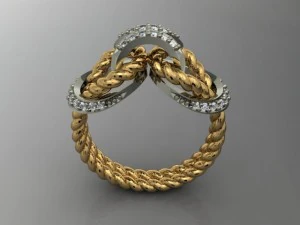 jewellery ring rope 3D Print Model