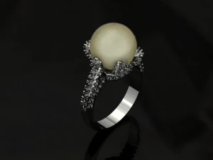 jewellery ring 3D Print Model