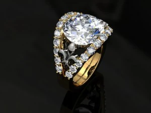 jewellery ring 3D Print Model